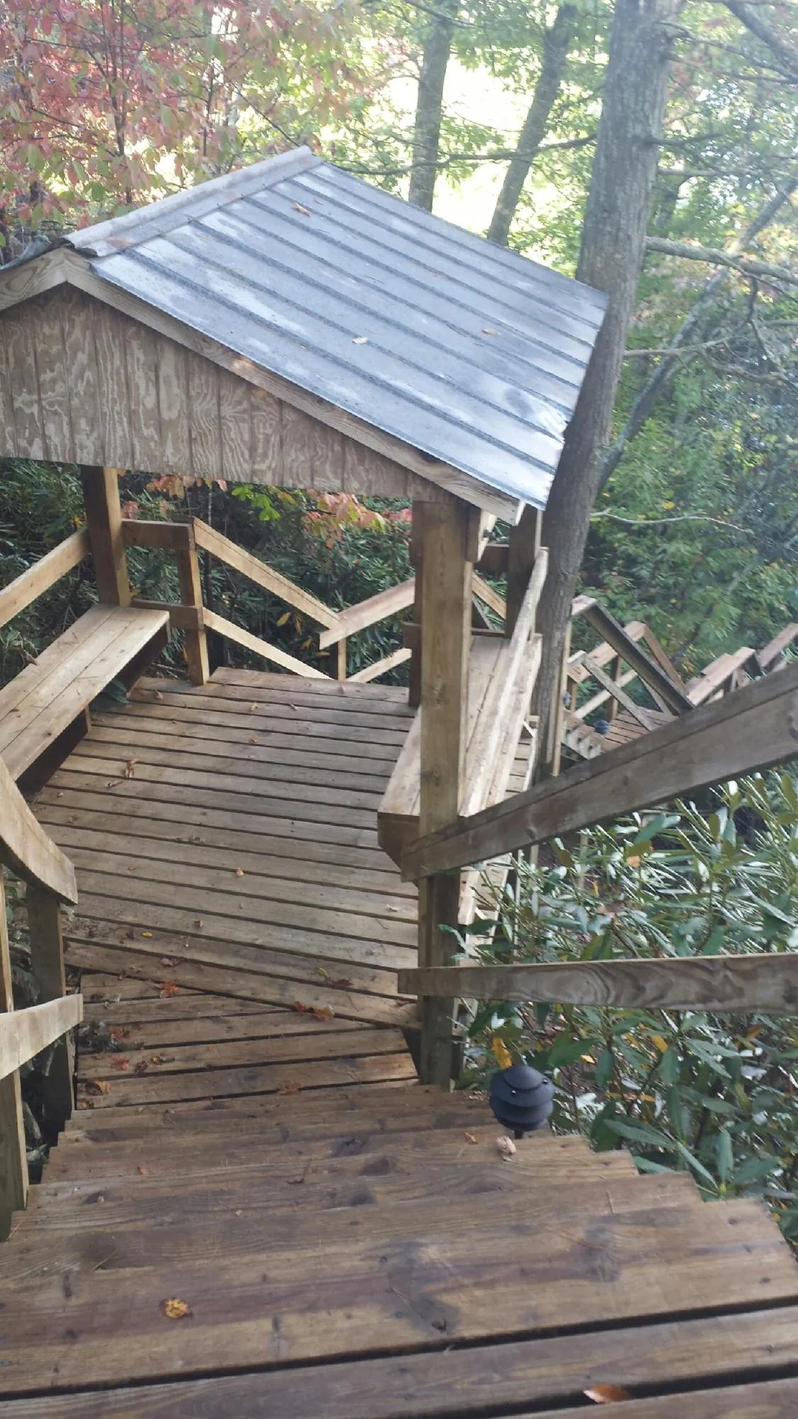 Metal roofed shelter over wooden steps on a wooded walkway — Skylight Repair & Installation work by our crew in Bonney Lake
