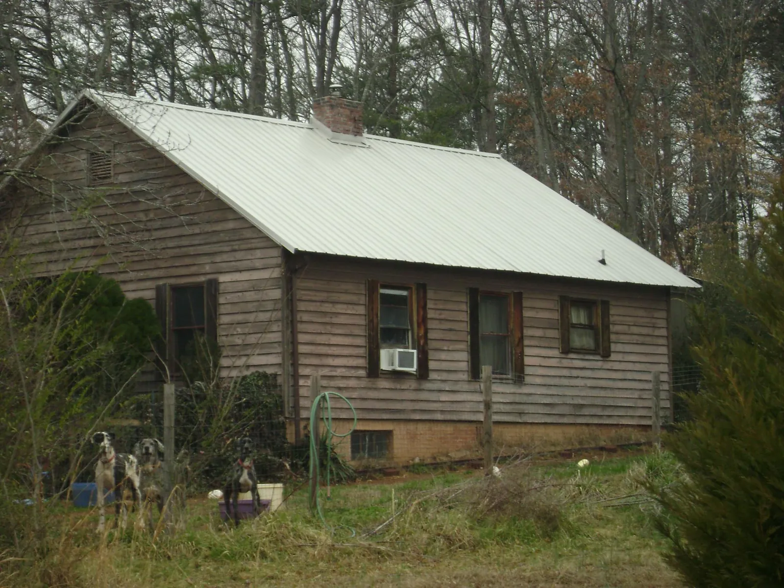 White metal roof on an old wood sided farmhouse, from a Asphalt Shingle Roof Repair job in Bonney Lake